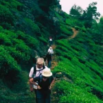 Hiking & Trekking sri lanka