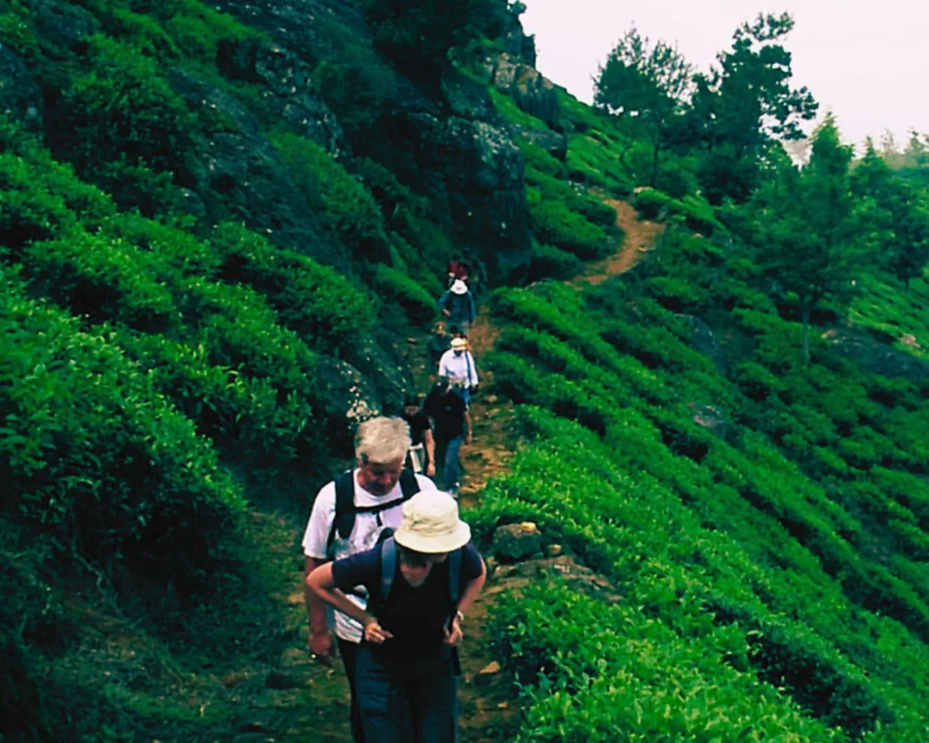 Hiking & Trekking sri lanka