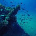 Scuba Diving & Snorkeling 2 Scuba diving Sri lnaka