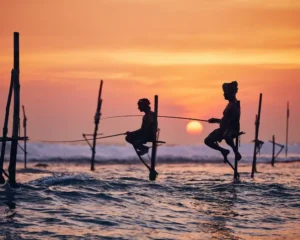 Traditional stilt fishermen at Koggala beach during Galle day tour